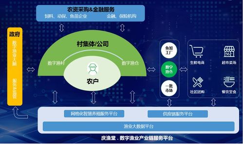 漁博士沈杰 打破物聯(lián)網(wǎng)技術(shù)與應(yīng)用之墻，解碼數(shù)字新浙商no.69
